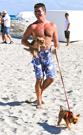 Simon Cowell Simon Cowell